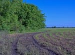 522 acres in Lamar County