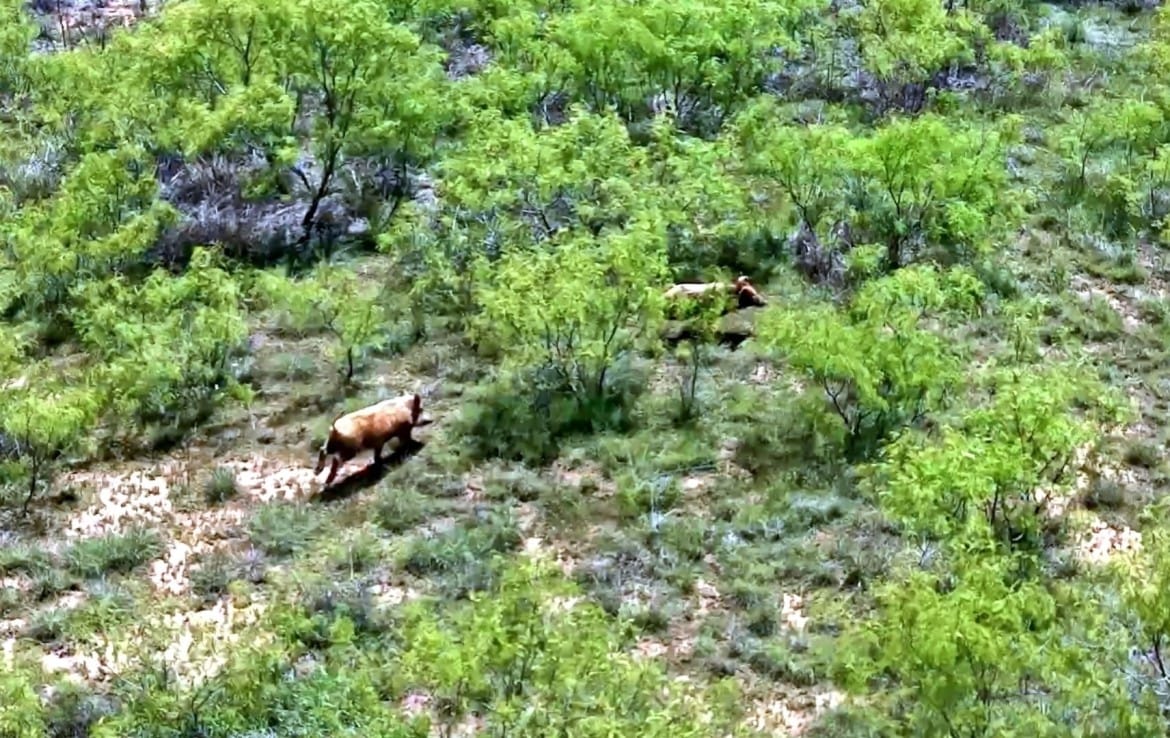 160 acres in Childress County