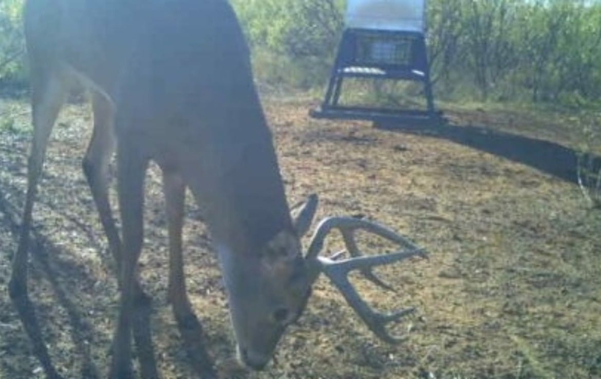 160 acres in Childress County