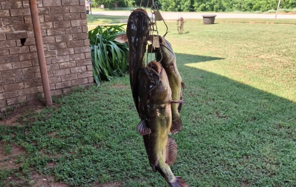 162 acres in Baylor County