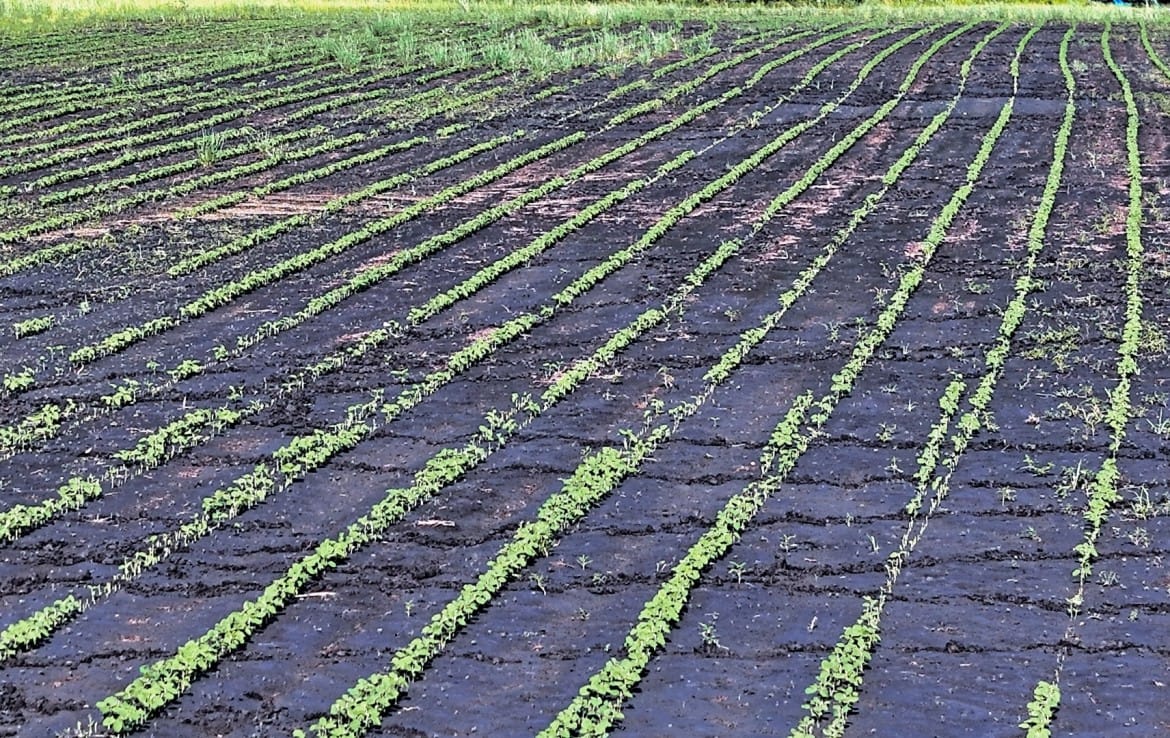 522 acres in Lamar County