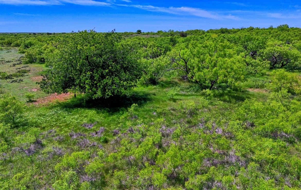 160 acres in Childress County