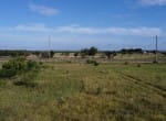 11 acres in Taylor County