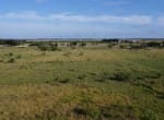 11 acres in Taylor County