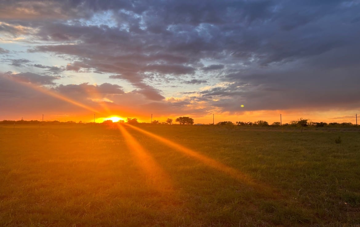 11 acres in Taylor County