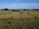 11 acres in Taylor County