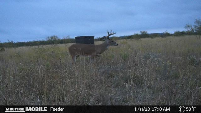 11 acres in Taylor County