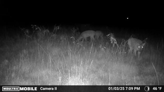 11 acres in Taylor County