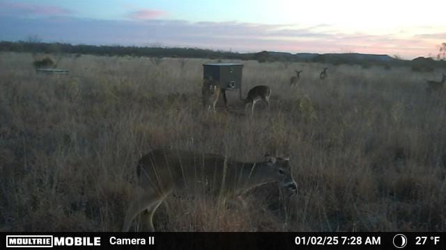 11 acres in Taylor County