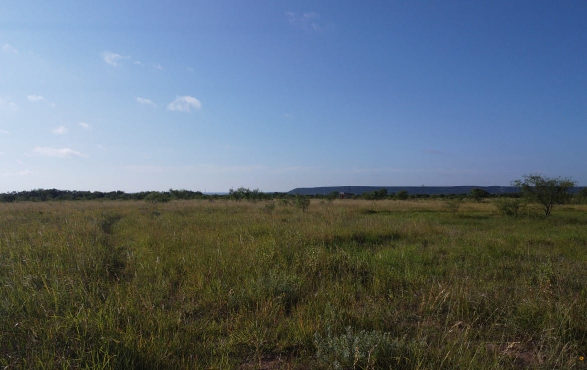 11 acres in Taylor County