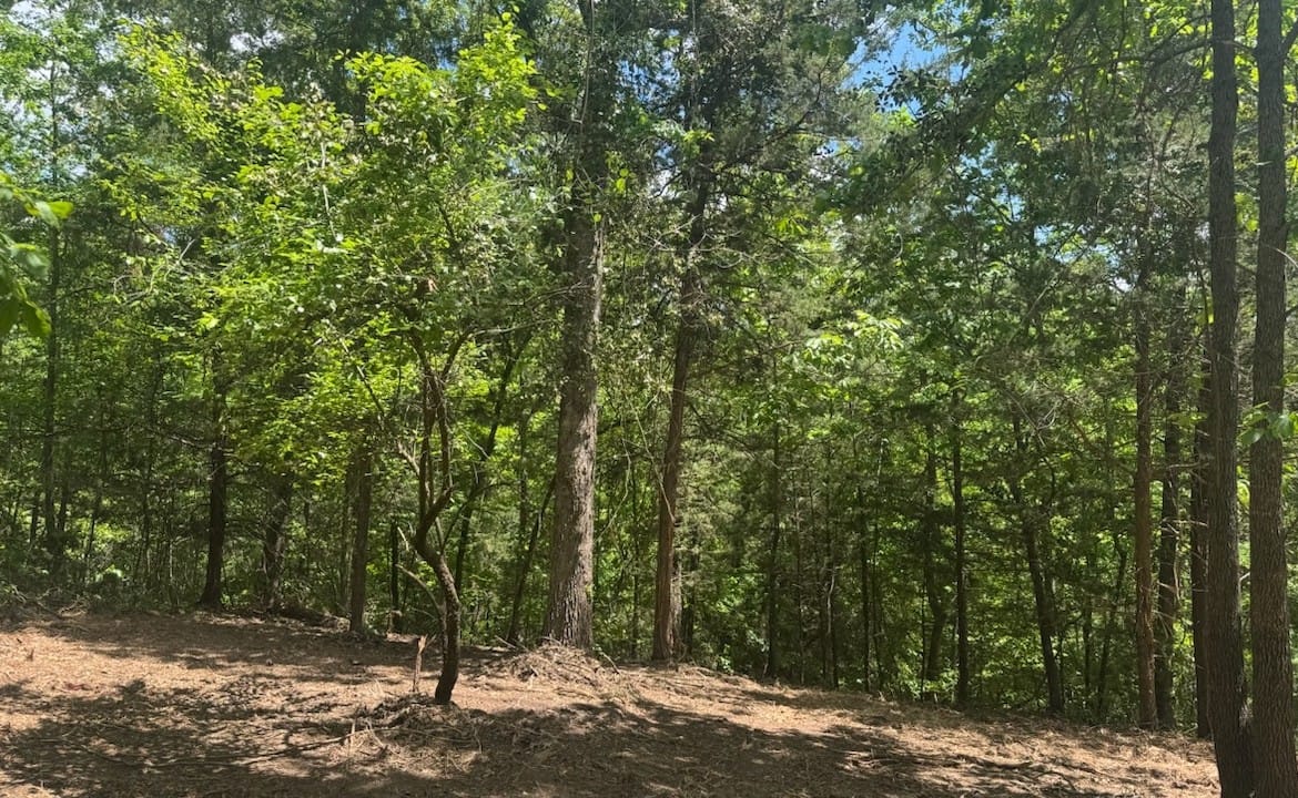 53 acres in Cass County