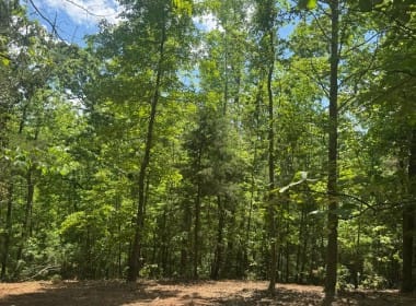 53 acres in Cass County