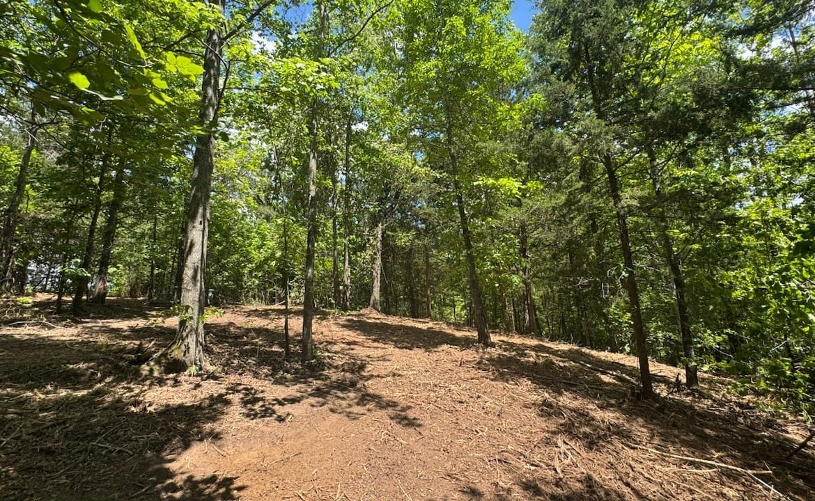 27 acres in Cass County