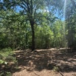 7 acres in Cass County