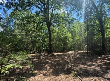 7 acres in Cass County