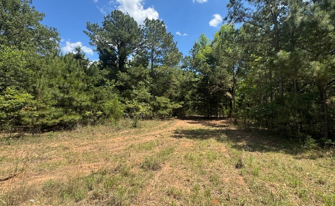 53 acres in Cass County