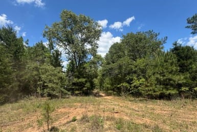 27 acres in Cass County