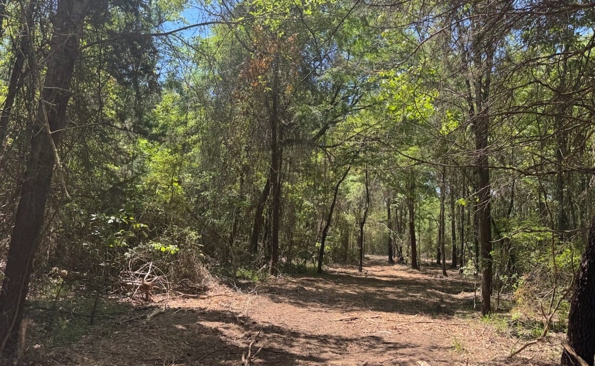 53 acres in Cass County