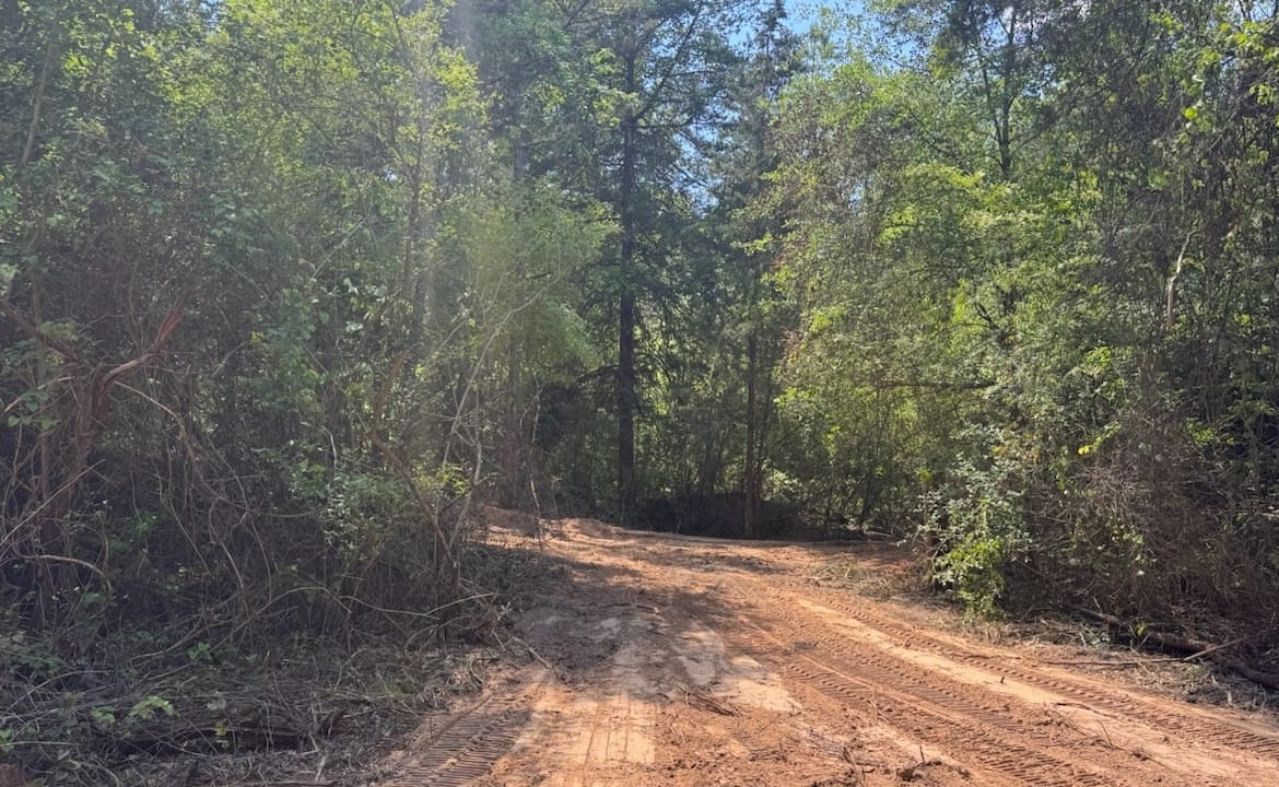 53 acres in Cass County