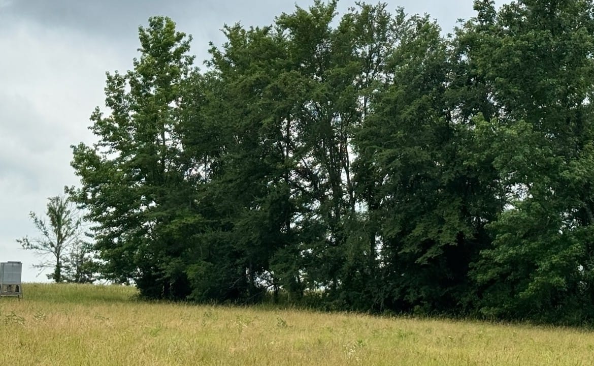 63 acres in Red River County