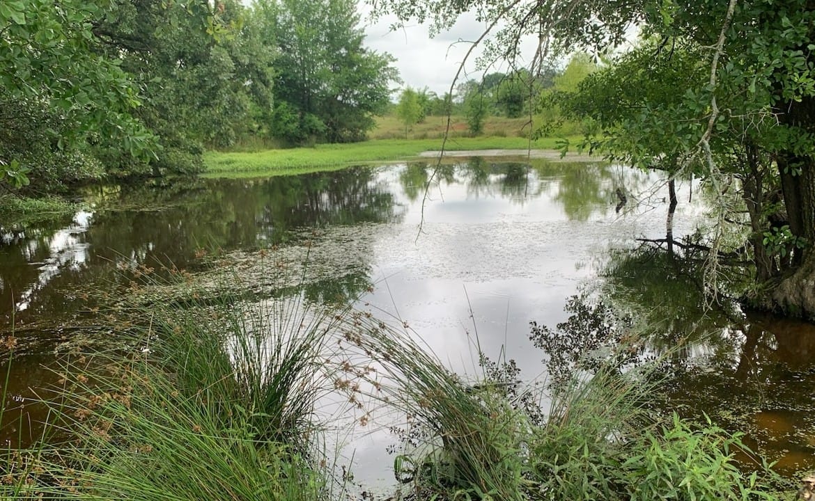 127 acres in Titus County