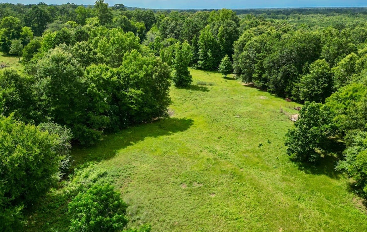 202 acres in Camp and Upshur County