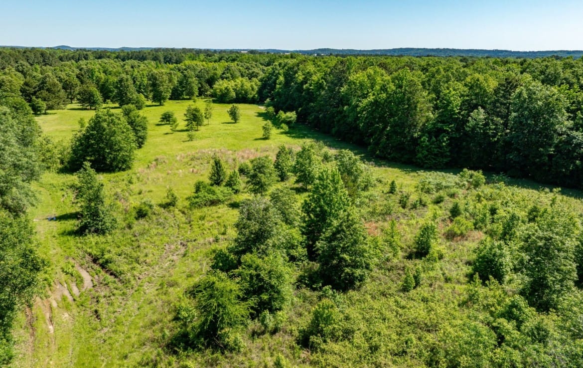 202 acres in Camp and Upshur County