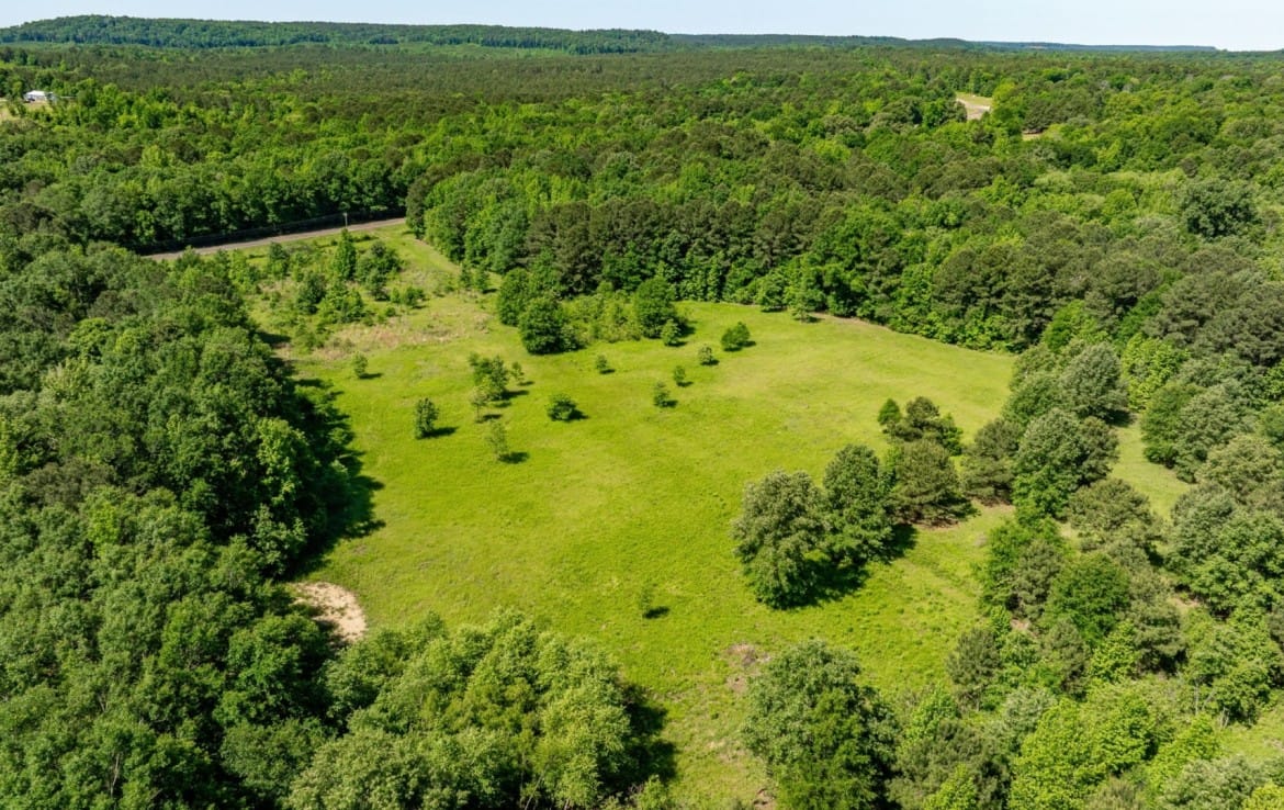 202 acres in Camp and Upshur County