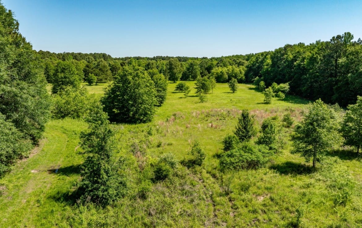 202 acres in Camp and Upshur County