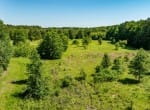 202 acres in Camp and Upshur County