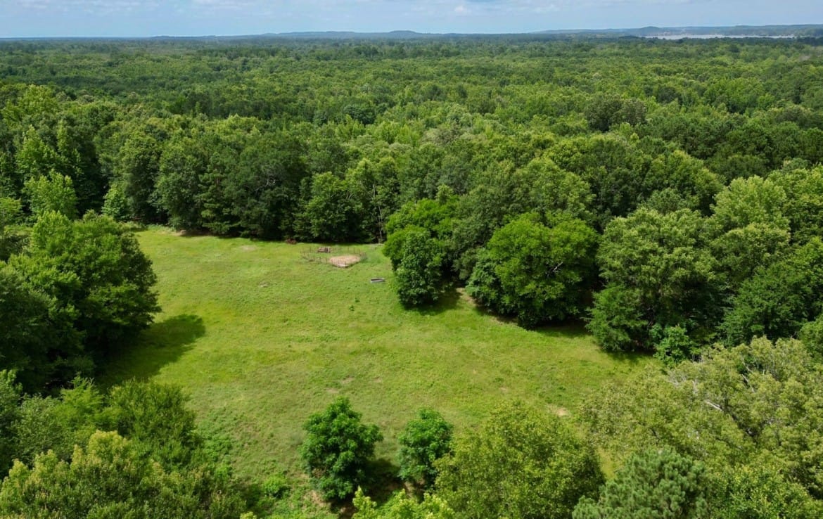 202 acres in Camp and Upshur County