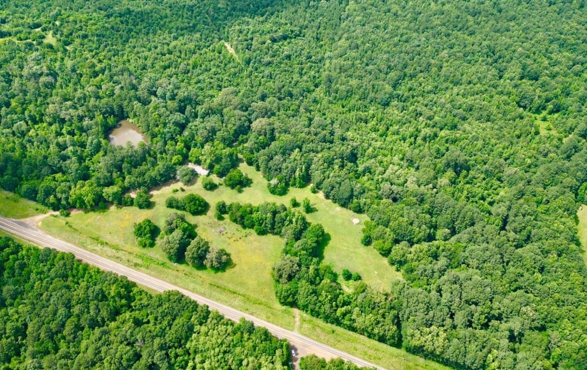 202 acres in Camp and Upshur County