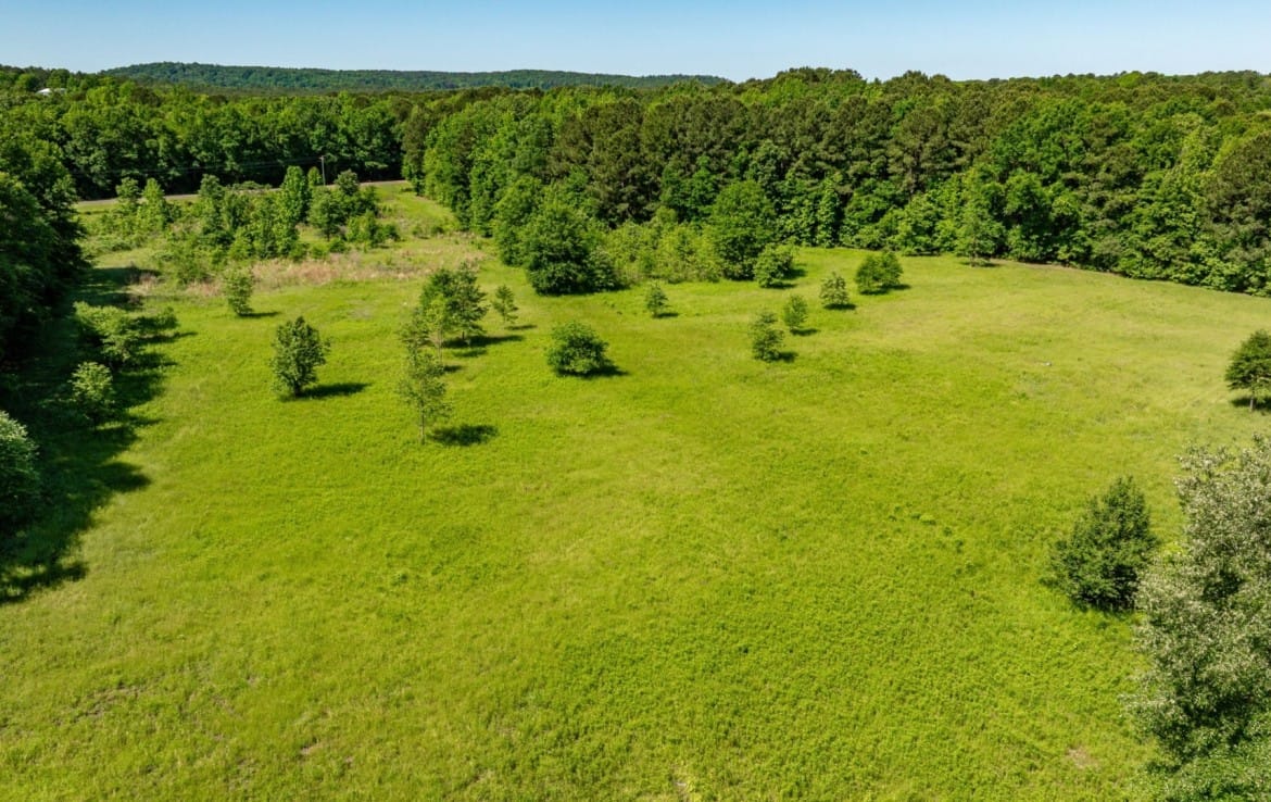 202 acres in Camp and Upshur County
