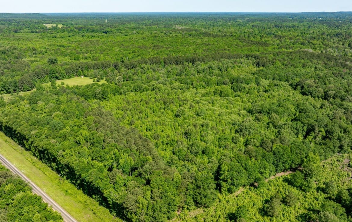 202 acres in Camp and Upshur County