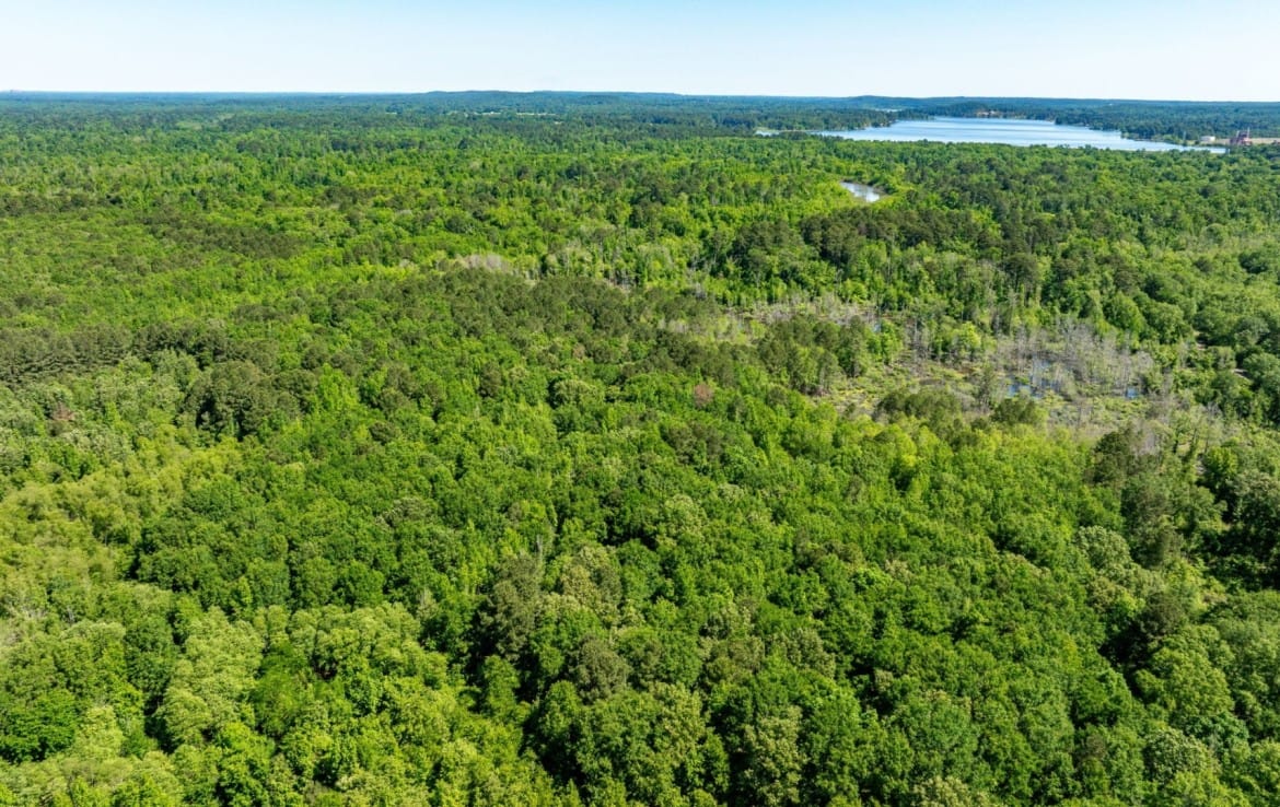 202 acres in Camp and Upshur County