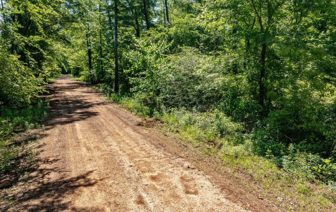 202 acres in Camp and Upshur County