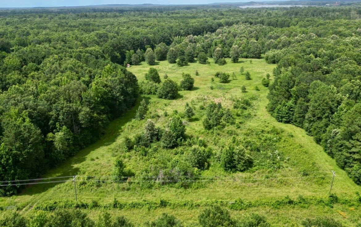 202 acres in Camp and Upshur County