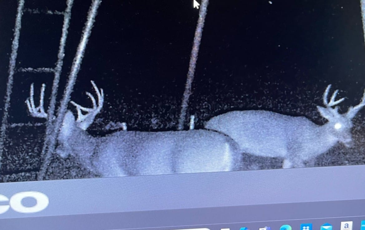 335 acres in Hardeman County