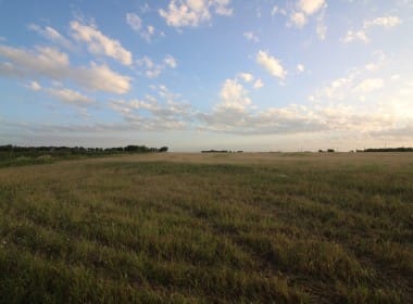 20 acres in Taylor County