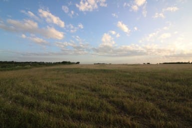 20 acres in Taylor County