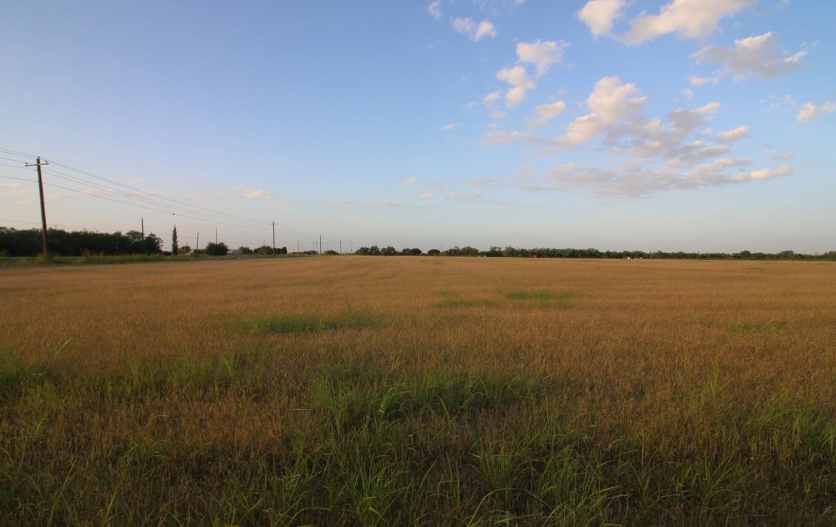20 acres in Taylor County