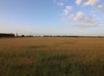 20 acres in Taylor County