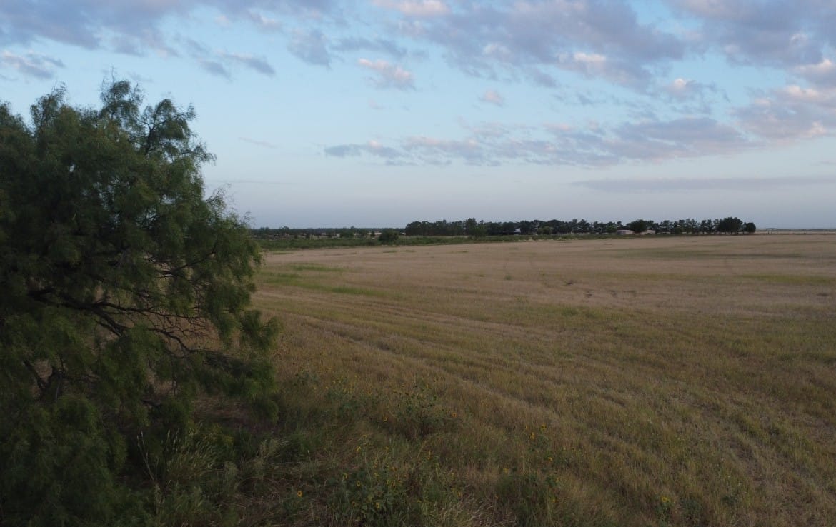 20 acres in Taylor County