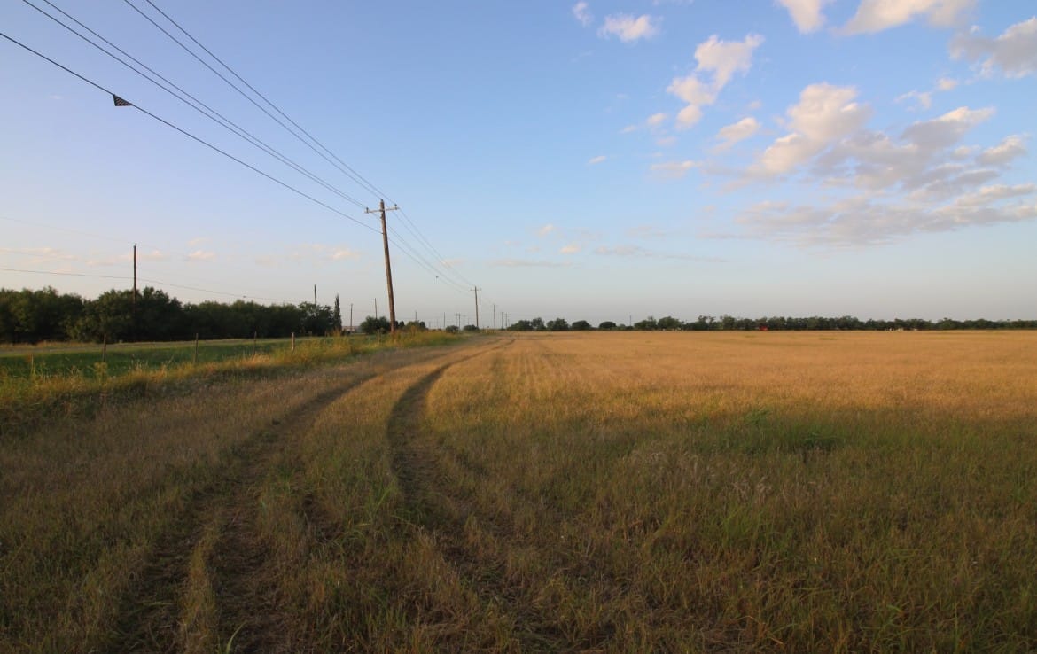 20 acres in Taylor County