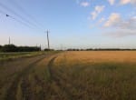 20 acres in Taylor County