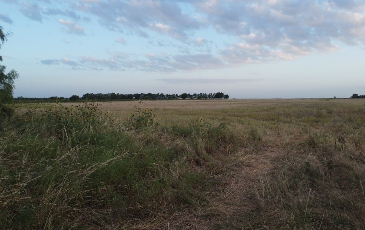 20 acres in Taylor County