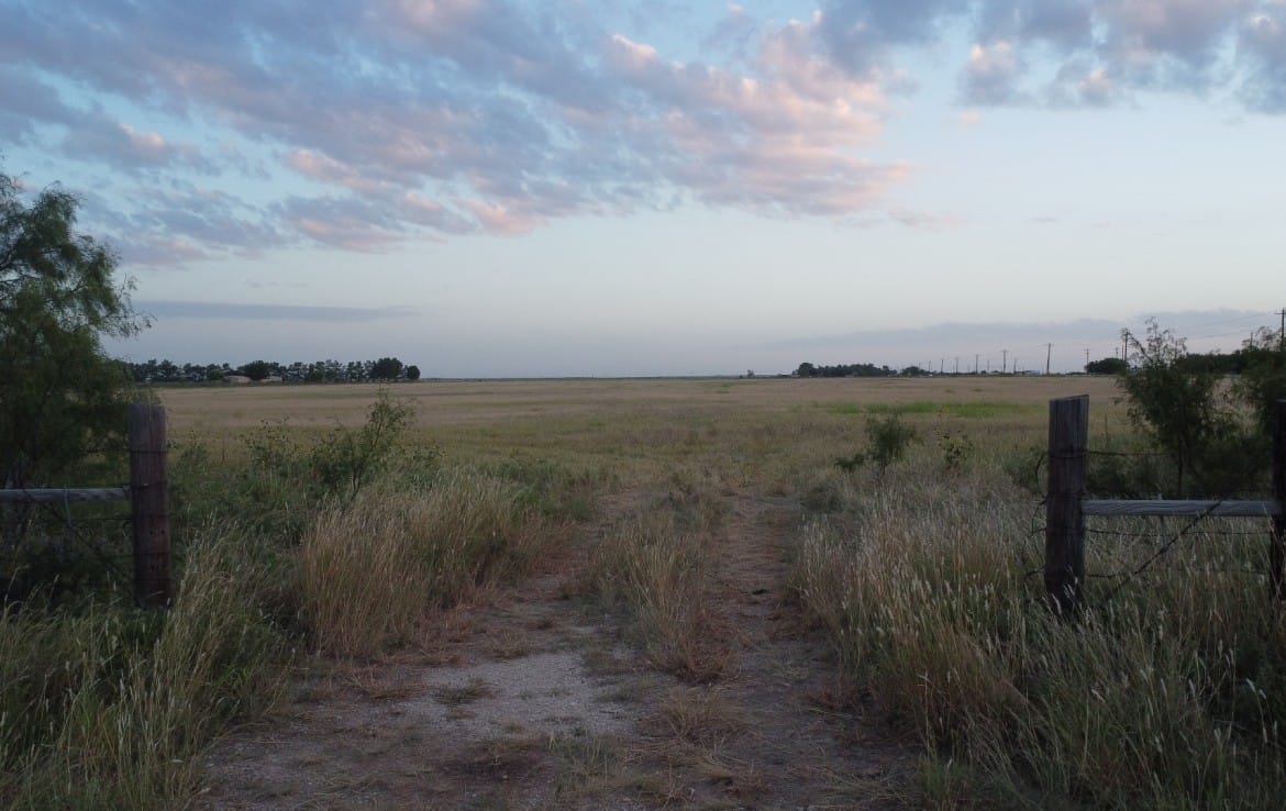 20 acres in Taylor County