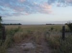 20 acres in Taylor County