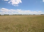 20 acres in Taylor County