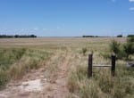 20 acres in Taylor County